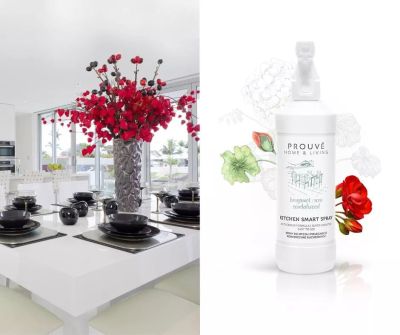 Спрей за почистване на кухненски повърхности Prouvé 500 мл – премахва мазнини и замърсявания