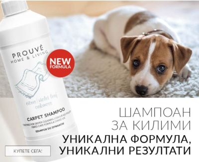 Шампоан за килими Prouvé 500 мл – дълбоко почистване и премахване на петна